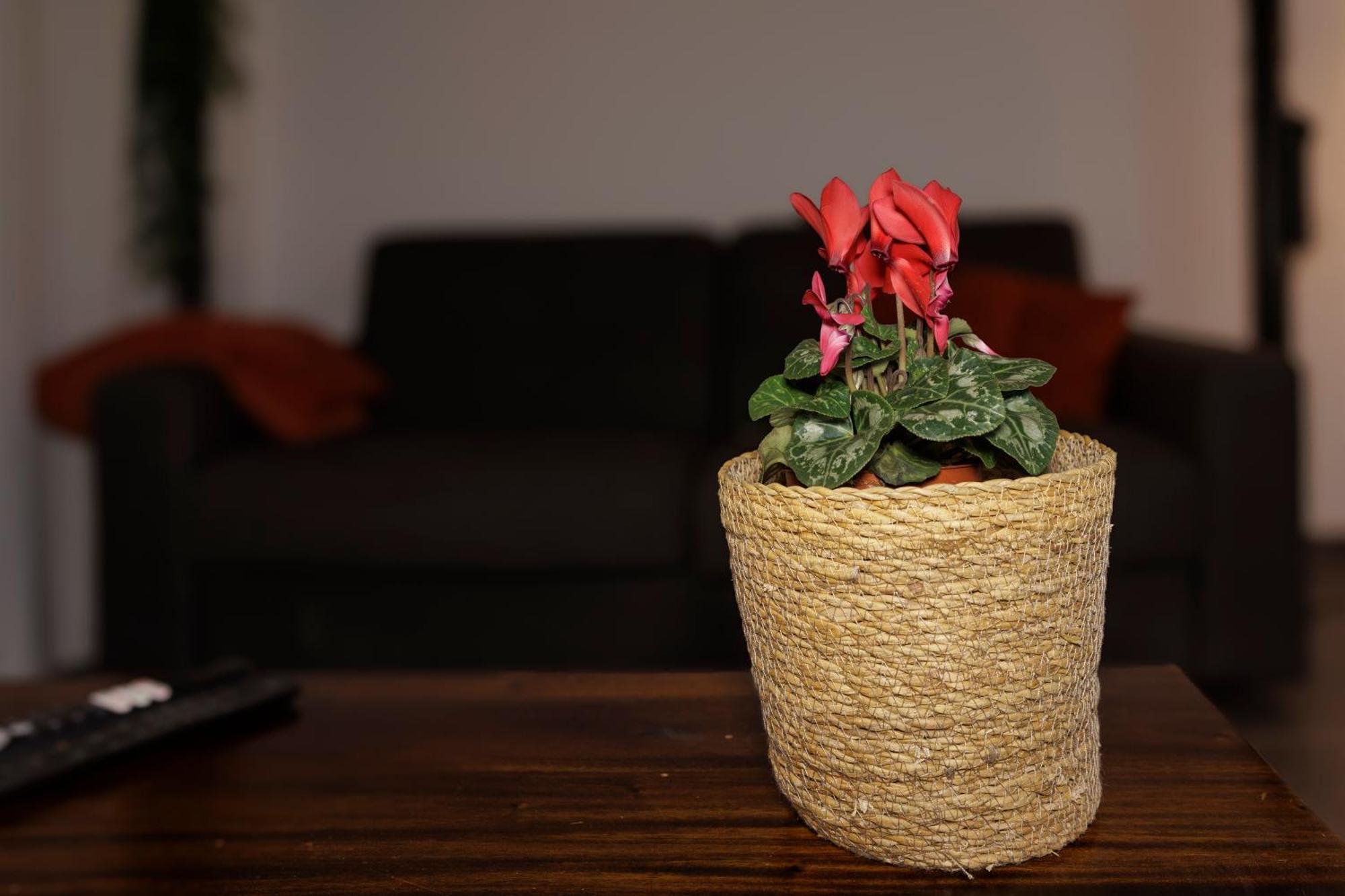 Manhattan Loft - Centre - 5 Mn A Pied Gare - Parking Prive - Patio تروي المظهر الخارجي الصورة